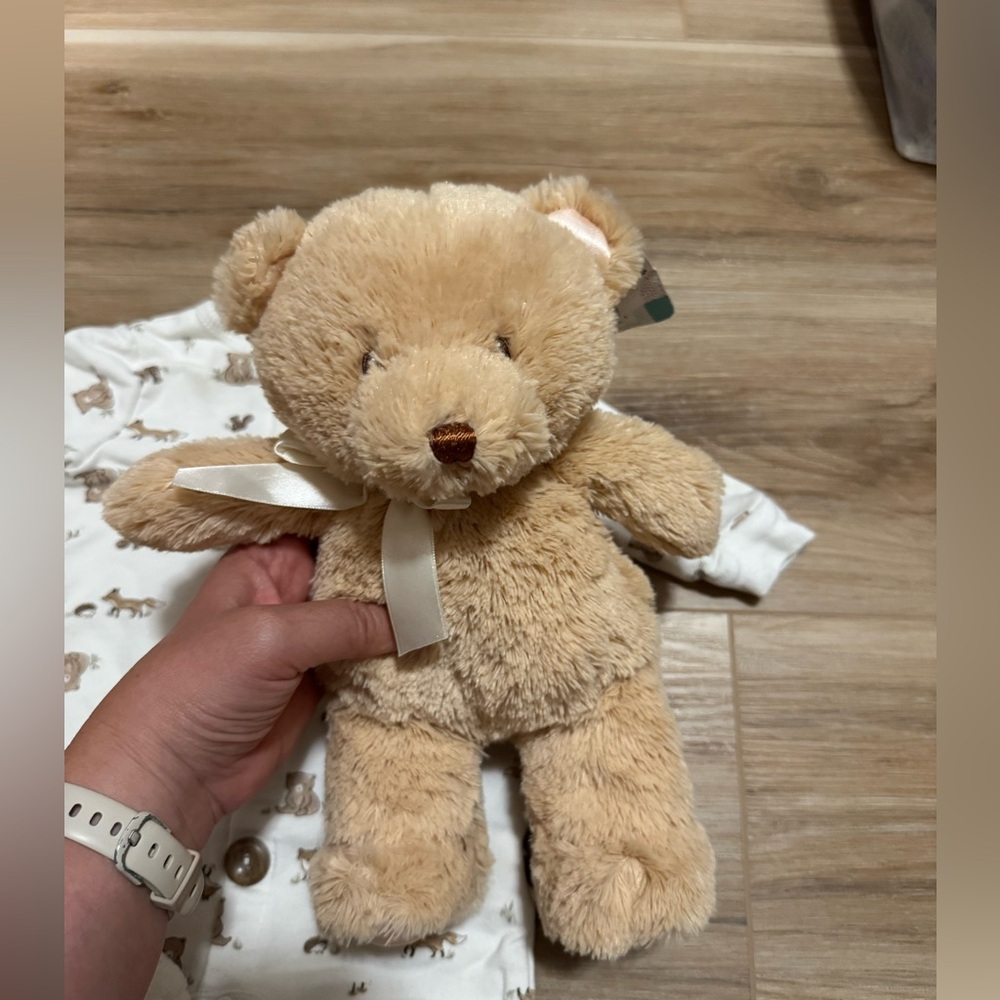 NWT Baby Gund my first teddy bear